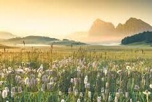 在线观看日韩AV电影-探索日韩AV电影的在线观看体验，文化、艺术与个人选择的交汇